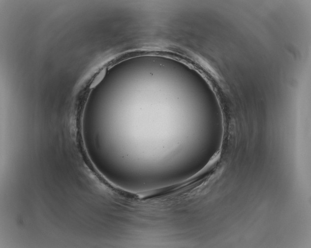 X0000115801456200911131349