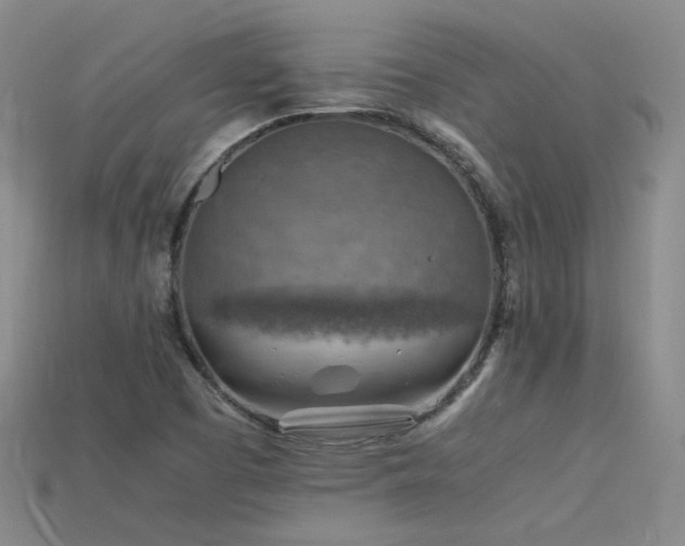X0000115801457200911131349