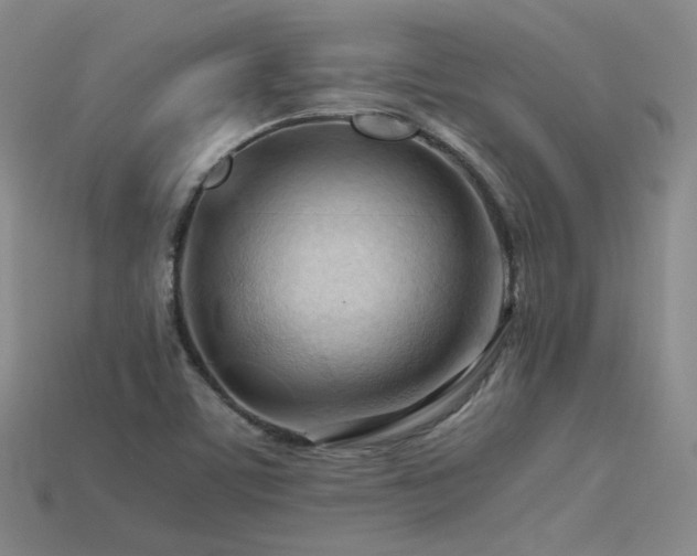 X0000115801459200911131349