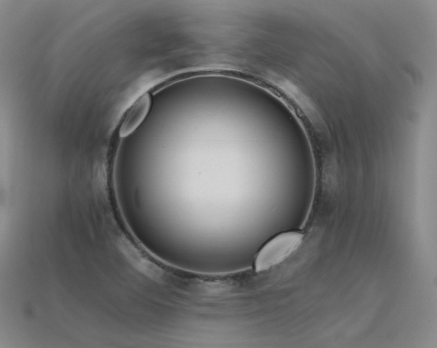 X0000115801460200911131349