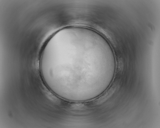 X0000115801462200911131349