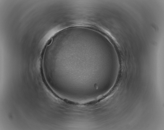 X0000115801463200911131349