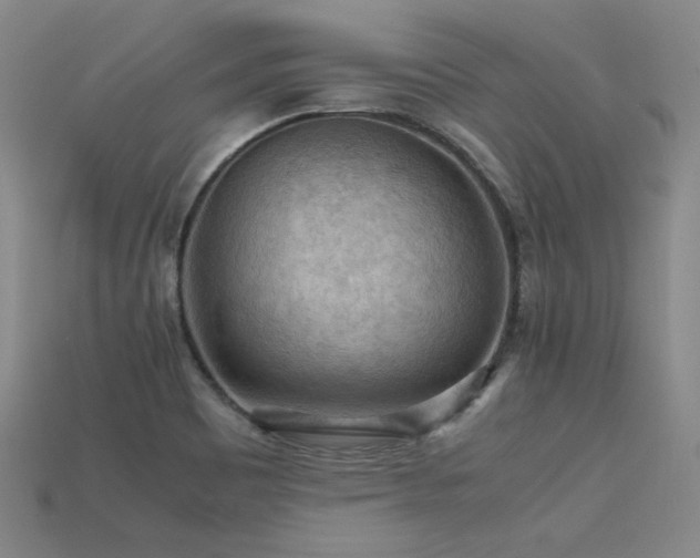 X0000115801465200911131349