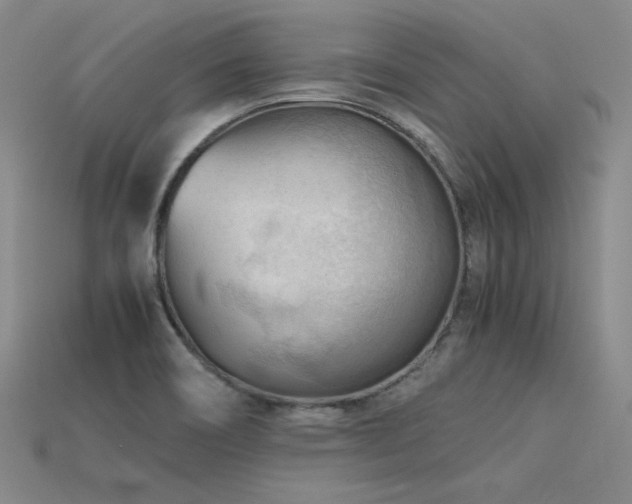 X0000115801466200911131349