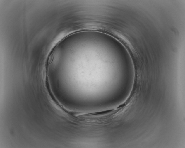 X0000115801467200911131349