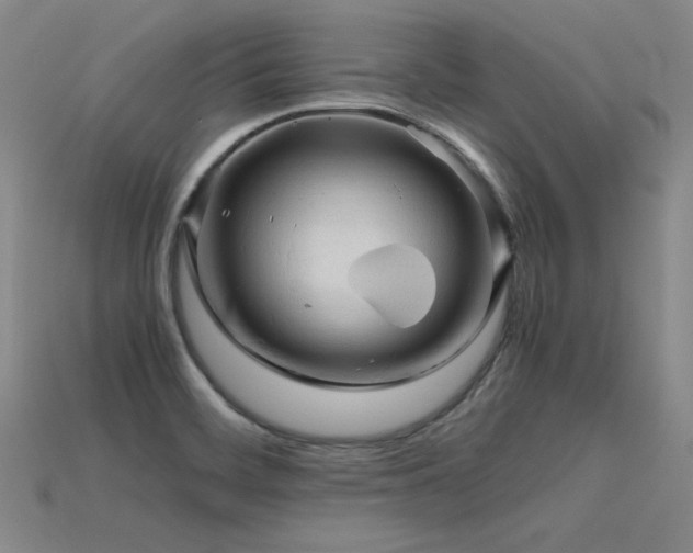 X0000115801468200911131349