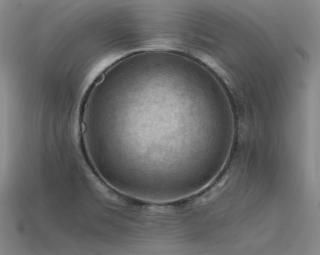 X0000115801469200911131349