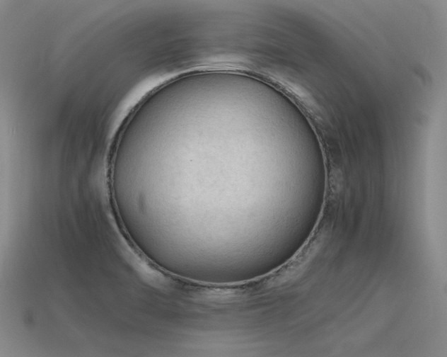X0000115801470200911131349