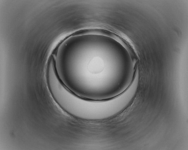 X0000115801472200911131349