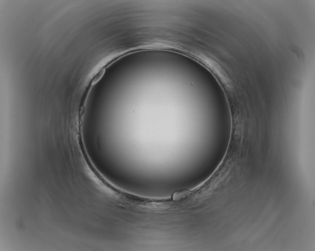 X0000115801476200911131349