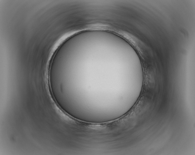X0000115801478200911131349