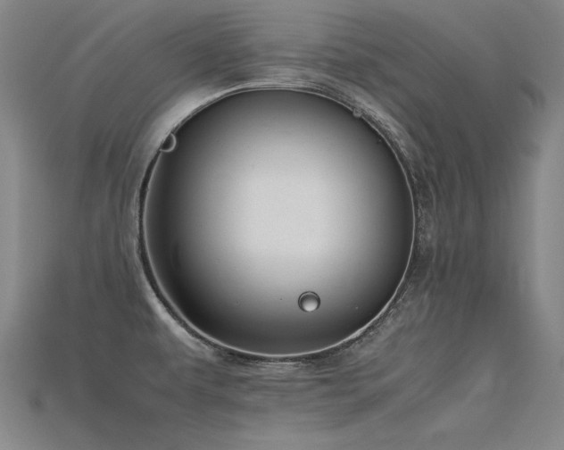 X0000115801479200911131349