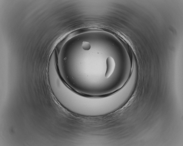 X0000115801481200911131349