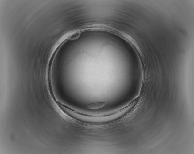 X0000115801482200911131349