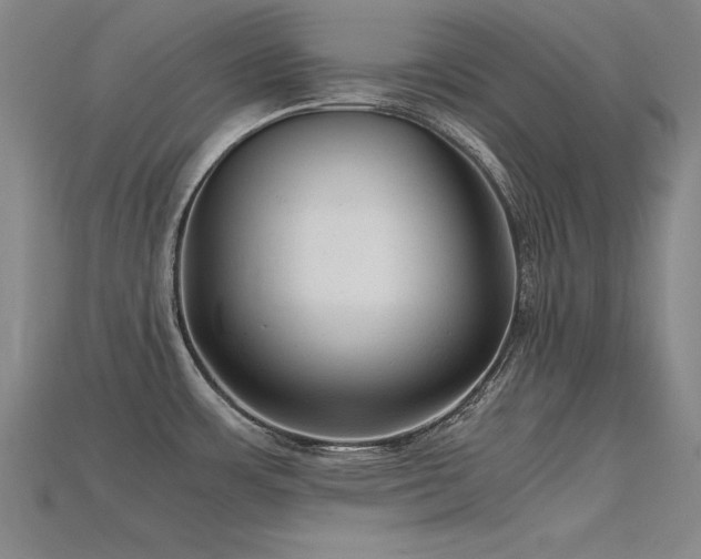 X0000115801483200911131349