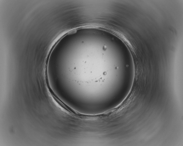X0000115801484200911131349