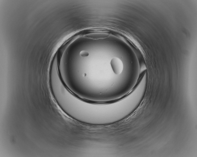 X0000115801485200911131349