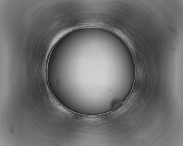 X0000115801486200911131349