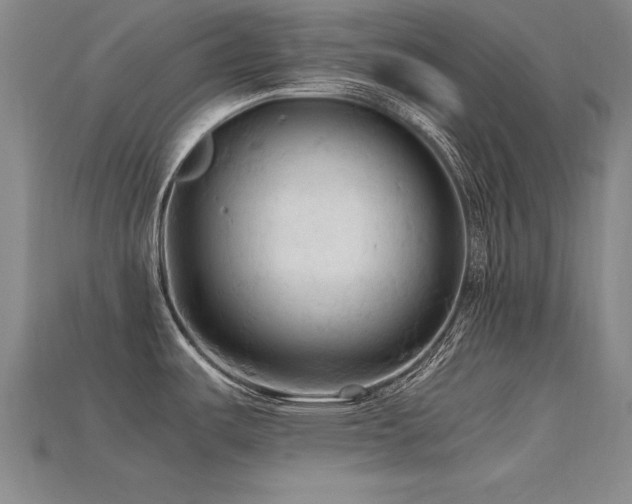 X0000115801487200911131349