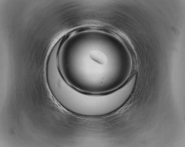 X0000115801488200911131349