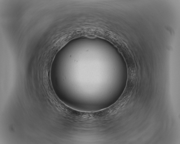 X0000115801489200911131348