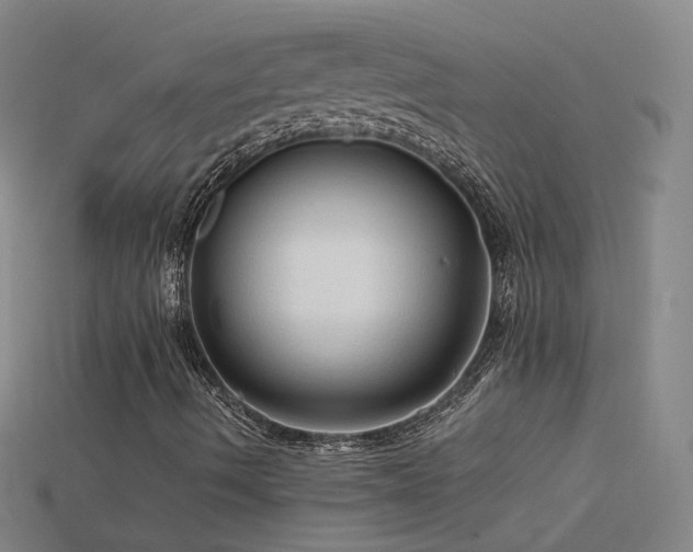 X0000115801490200911131348