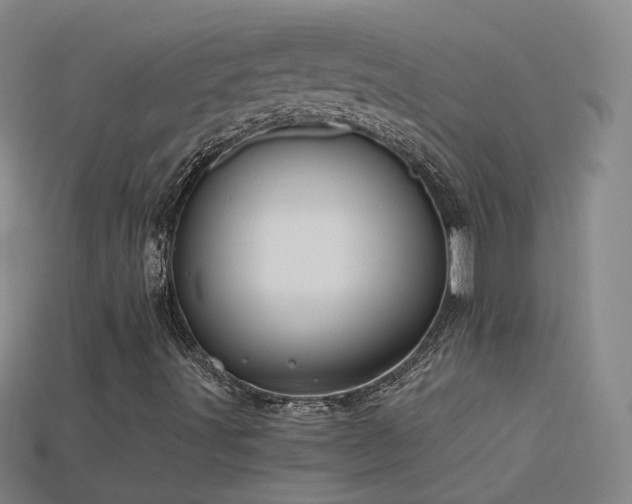 X0000115801491200911131348