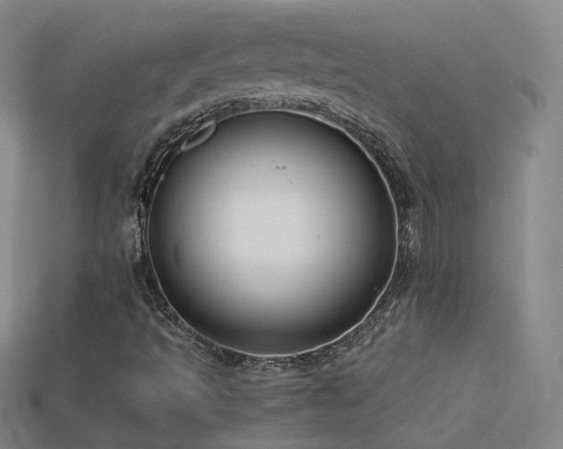 X0000115801493200911131348