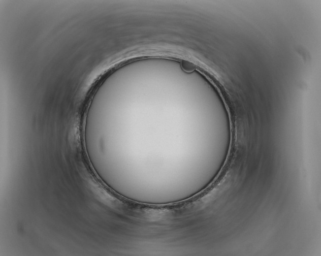 X0000115801498200911131348