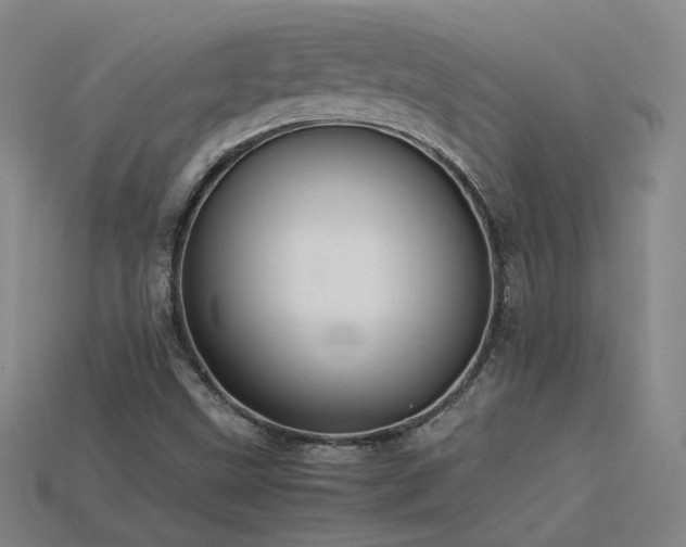 X0000115801499200911131348