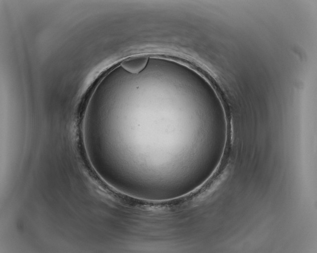 X0000115801501200911131348