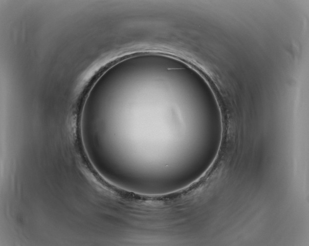X0000115801503200911131348