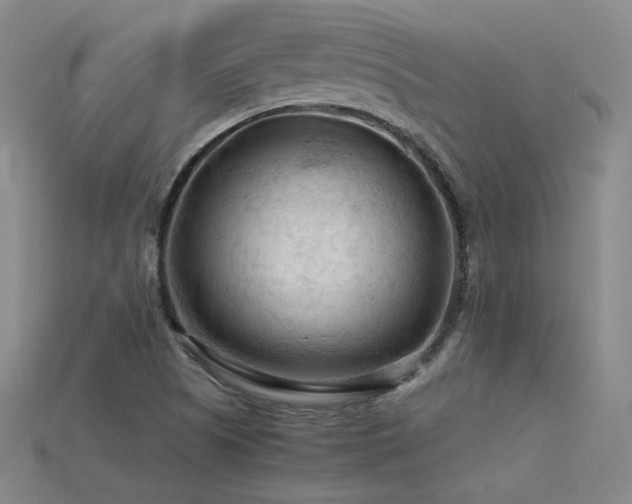 X0000115801505200911131348