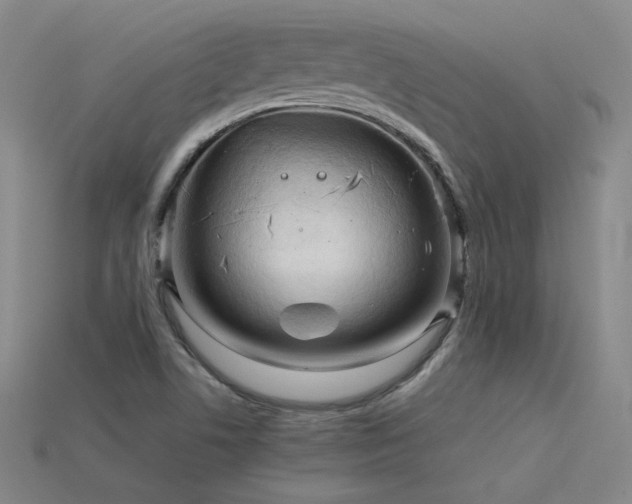 X0000115801506200911131348