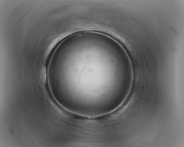X0000115801509200911131348