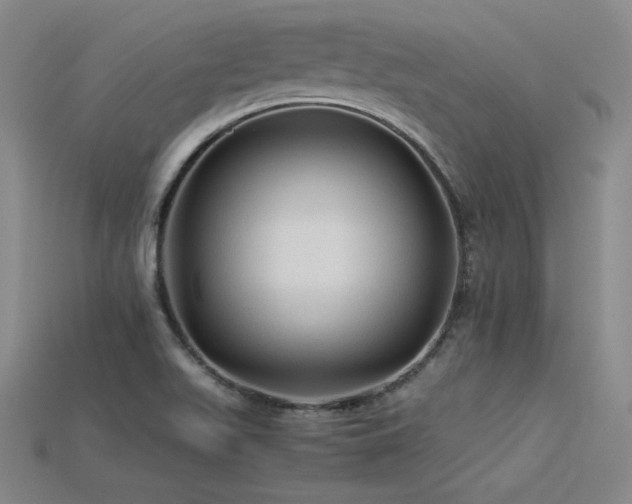 X0000115801511200911131348