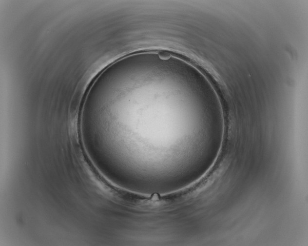 X0000115801513200911131348