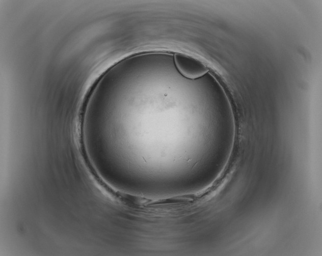 X0000115801517200911131349