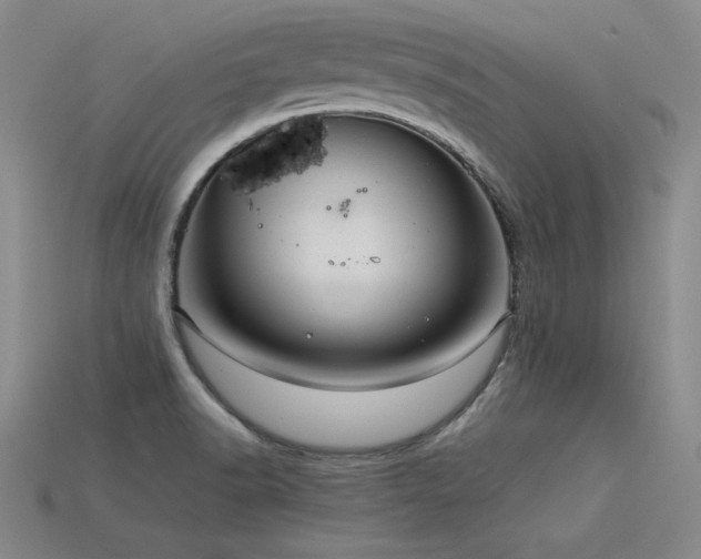 X0000115801518200911131349