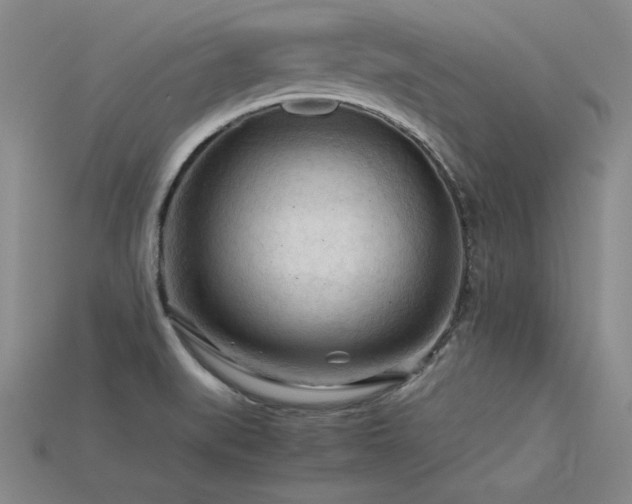 X0000115801519200911131349