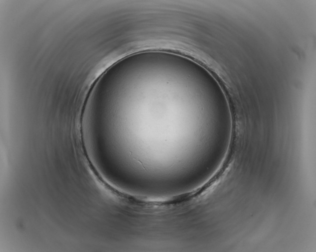 X0000115801521200911131349
