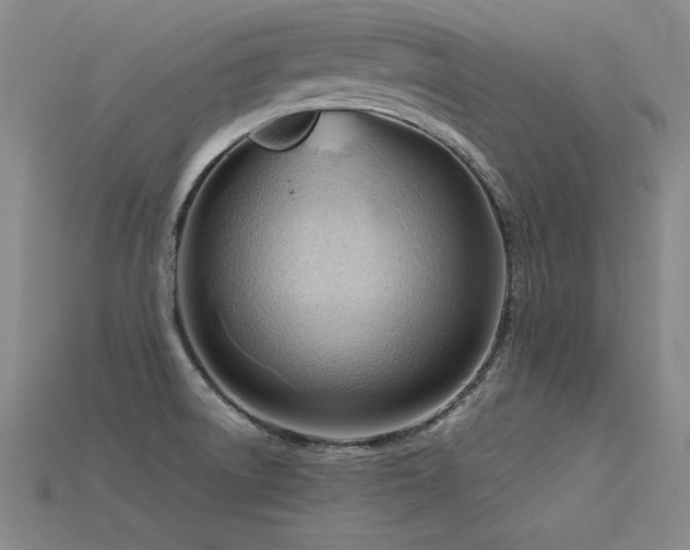X0000115801522200911131349