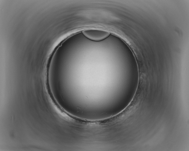 X0000115801523200911131349