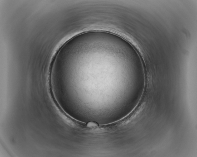 X0000115801525200911131349