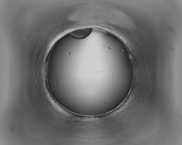 X0000115801526200911131349