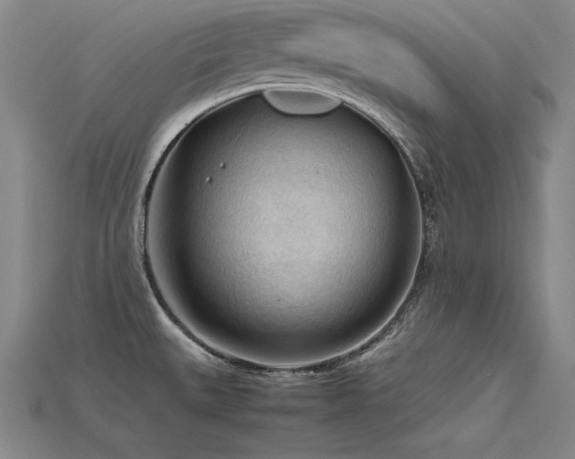 X0000115801527200911131349
