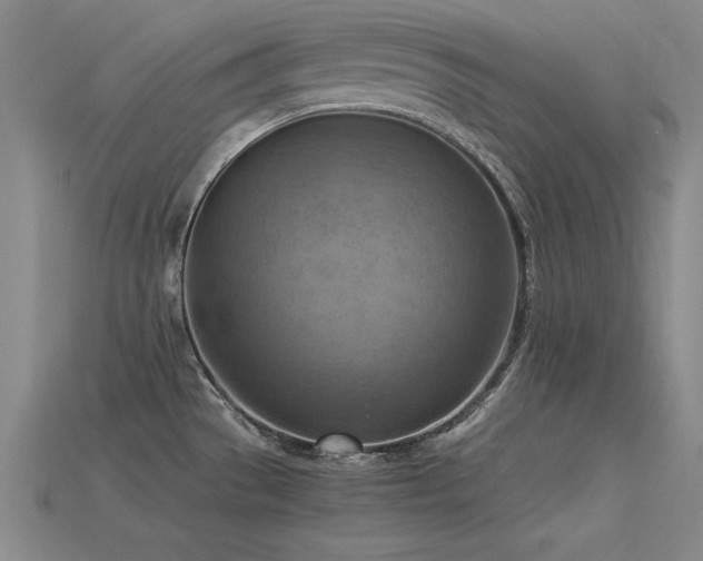 X0000115801529200911131349