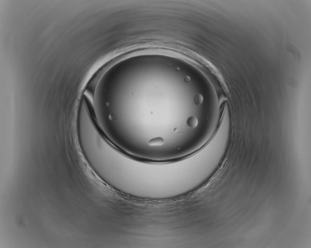 X0000115801530200911131349