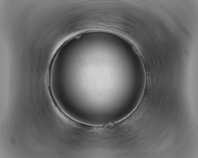 X0000115801531200911131349