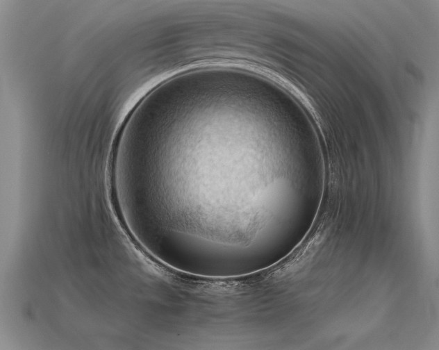 X0000115801533200911131349